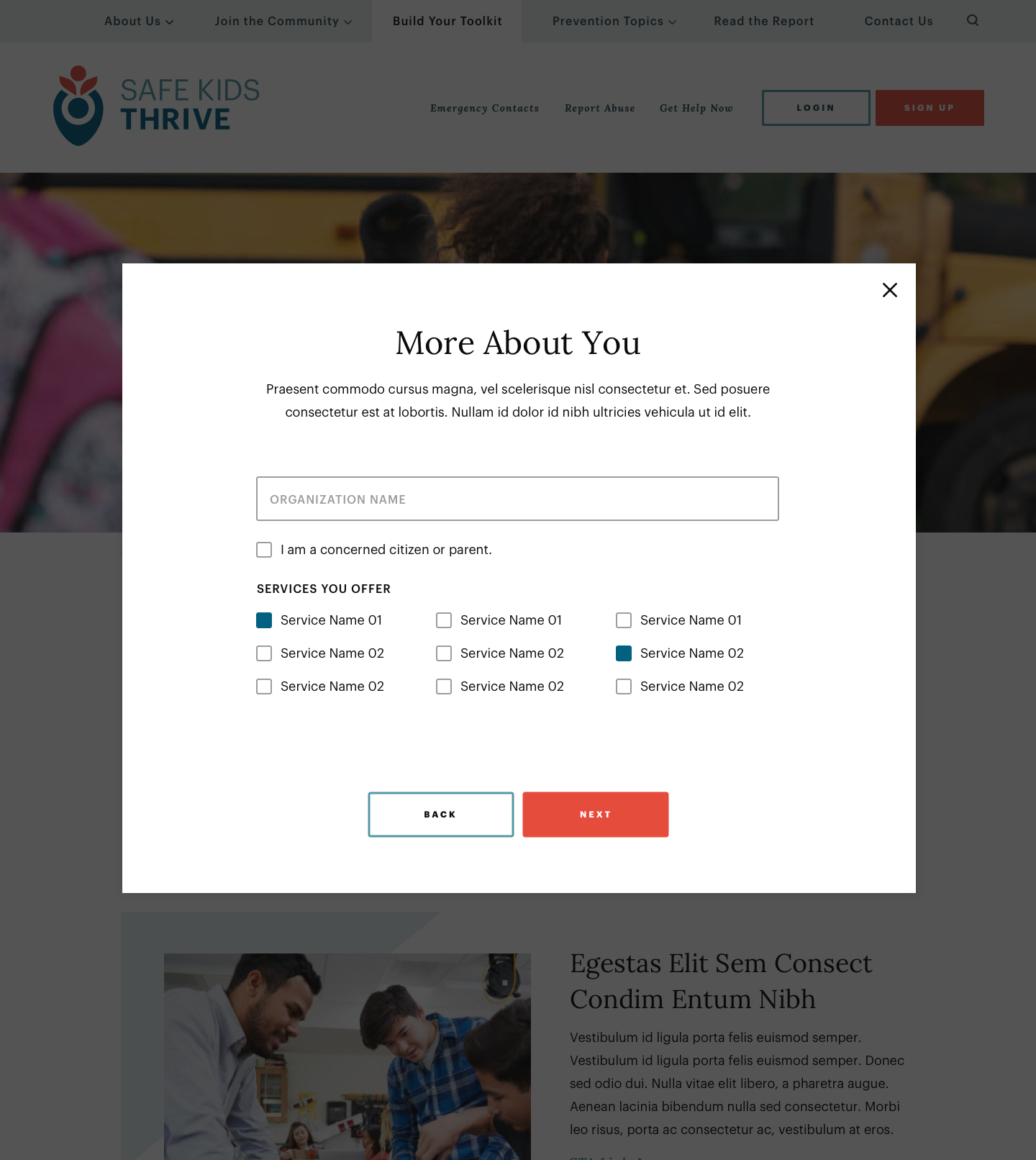 Popup form titled "More About You" with input fields for organization name and options for services offered. "Back" and "Next" buttons at the bottom.